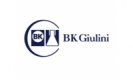 BK Giulini Chemie